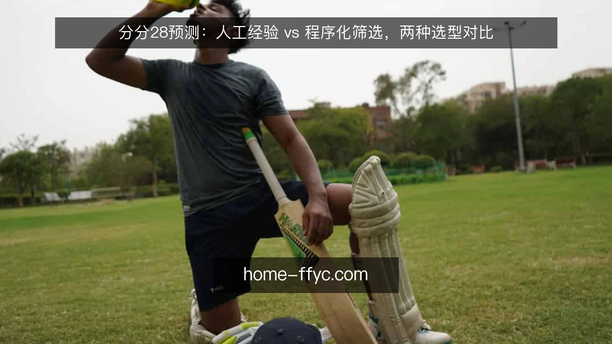 分分28预测:人工经验 vs 程序化筛选,两种选型对比