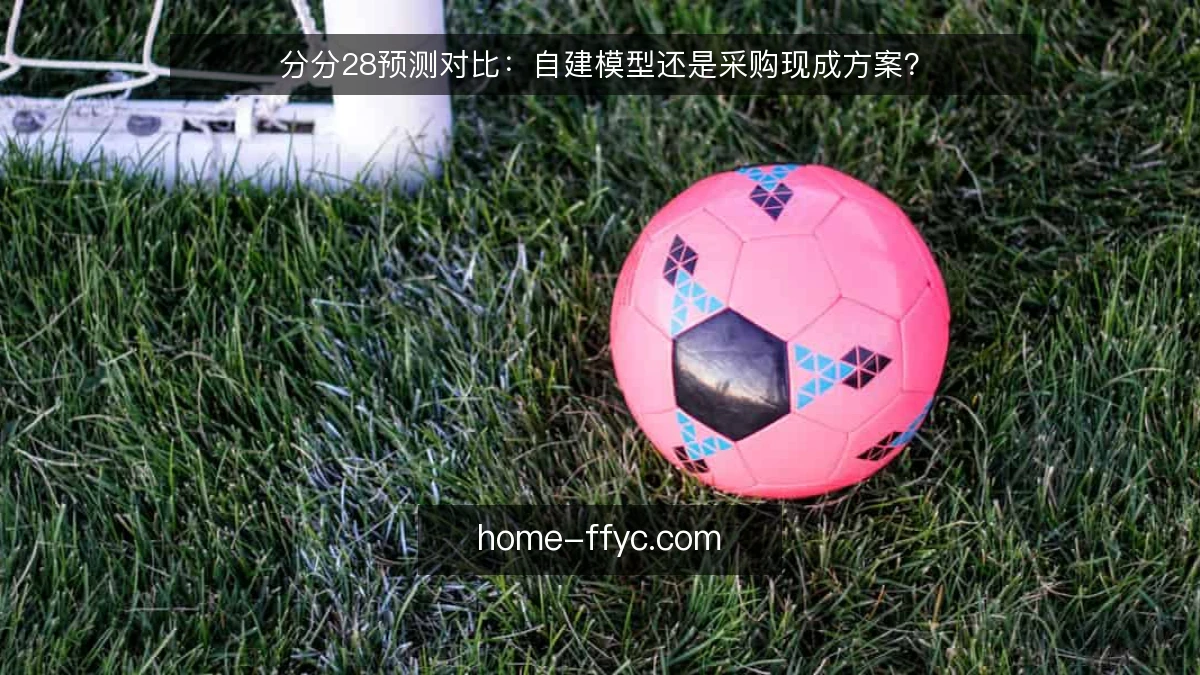 分分28预测对比：自建模型还是采购现成方案？