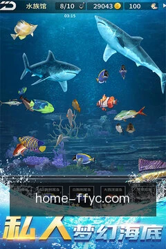 分分28预测掌上体验
